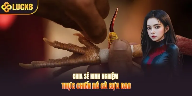 Chia sẻ kinh nghiệm thực chiến đá gà cựa dao